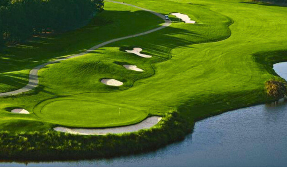 Guest Reward: https://gardencityrealty.icnd-cdn.com/images/guestrewards/Blackmoor Golf.png